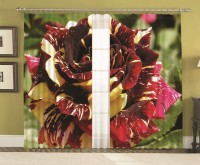 Комплект фотоштор Микс Роз 150*270 (2)  +/- 3%